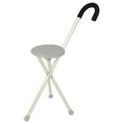 19605 Travelon Walking Seat And Cane In One Gray Aluminum 025732001316