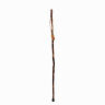 240948 Brazos Walking Sticks American Hardwood Stick