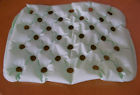 Eh240wci 28 Bariatric 2 Ehob " Cushion Waffle 22