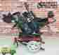 3gtq3 Storm Series Torque Invacare 3 Power Wheelchair With Tilt Function Red