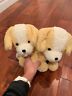 53 Crutch Critters Pads Skippy 0885176203185
