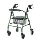 G07886g Economy Walker 460 Green Envoy Medline Guardian Rolling