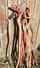 Euccane111 Doug Ballagh Premium California Eucalyptus Hard Wood Walking Cane