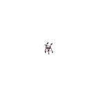Rj4301r Field Rollator Graham Junior Lite Walkabout Lumex Burgundy