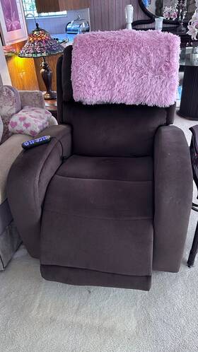 Golden Technologies 654690275844 Ez Sleeper Lift Chair Recliner With Maxicomfort