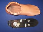 Left Ossur 27 Shell- Vari Foot Guc Flex Prosthetic