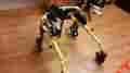 86801 Model Snug Seat Crocodile Gait Trainer Size 1