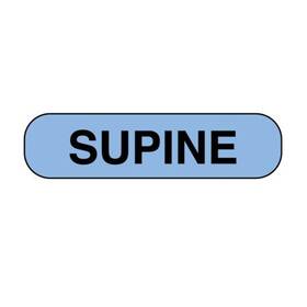 X-3826 Nevs Information Labels - Supine 5/16 Inch X 1-1/4 Blue With Black