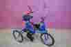 802-2014-2100 Royal Blue Rollator Dmi 3-wheel Aluminum