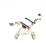 Showerbuddy SB3T Roll In Bath Commode Chair With Tilt Adjustable.... Fixed Price $2395.00.