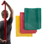Theraband Resistance Set, Professional Elastic For Upper & Lower B.... Fixed Price $19.36.