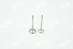 Vw Audi Seat Intake Valve Outlet 1.2 Tsi Cbzb Cbza 03F109611C 03F109601A. Fixed Price $22.17.