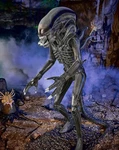 Alien Xenomorph Prop 6 Ft. 8 In. Halloween Black Silver Plastic Collectible. Fixed Price $1050.00.