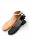 Trias Prosthetic Foot. Size 26. Category 1. 1C30. Right Shell. Fixed Price $300.00.