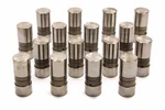 Chevy 327 350 396 454 Sbc Bbc Speed Pro Hydraulic Flat Set 16. Fixed Price $113.99.