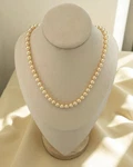 Vibrant Warm 7MM Japanese Golden Dawn Akoya Pearl Necklace, Clarity Lustre. Fixed Price $1688.00.