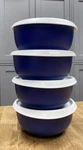 Tupperware Legacy And Essentials Line-assorted Styles-blue-new-shipping Included. Fixed Price $27.99.