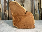 Cross Grain Wood Slab/ Edge White Oak Coffee Table/live End. Fixed Price $165.00.