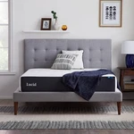 Lucid 10 Inch Memory Foam Mattress - Bamboo Charcoal And Gel Infusions. Fixed Price $239.99.