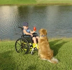 Tuffcare Pediatric Lightweight Wheelchair - Compact Series Ultra K0009. Fixed Price $559.00.