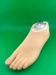 1G6 Pedilan Light Prosthetic Foot. Size 25. Left. Fixed Price $200.00.