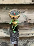 Hidden Compass Handle Cane Gold Colour Black Hardwood Folding. Fixed Price $40.29.
