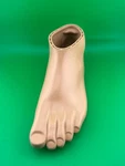 1M10 Prosthetic Shell. Left. Size 26CM. Fixed Price $100.00.
