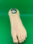 1G6 Light Weight Prosthetic Foot. Left. Size 25. Fixed Price $200.00.