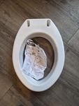 Carex Elevated Seat, B307, Lightweight White Plastic, Elongated. Fixed Price $25.00.