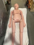 Used Patient Care Teaching Human Manikin Medical Body Nursing Train Model Female. Fixed Price $499.99.