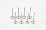 Vw Audi Seat Exhaust Valve Inlet 1.2 Tsi Cbzb Cbza 03F109611C 03F109601A. Fixed Price $65.35.