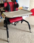 Rifton Hi/low Activity Chair 820 Small With Tray. Fixed Price $800.00.