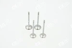 Vw Audi Seat Intake Valve Outlet 1.2 Tsi Cbzb Cbza 03F109611C 03F109601A. Fixed Price $32.67.