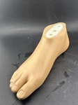 Sach Prosthetic Foot 1S102 Size 26 Right Max Weight 275 Pound. Fixed Price $150.00.