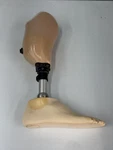 Trulife Prosthetic Leg Below Knee AAA225 Ottobock Right Foot. Fixed Price $328.50.