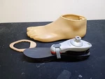Otto Bock 1M10 Adjust Left Size 27CM / Prosthetic Foot Very Good Condition. Fixed Price $175.00.