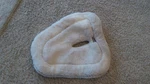 Dura-tech Fleece & Memory Foam Half Pad Wither Relief Promote Back Comfort. Fixed Price $49.99.