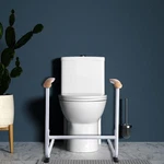 Stand Assist Mobility Aids Bed Rail Cane Chair Lift Safety Grab Bar For Elderly. Fixed Price $58.08.