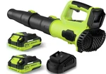 Leaf Blower, 21V Cordless Electric With 2.0AH Batteries And Hour Fast. Fixed Price $175.99.