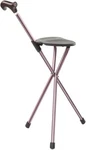 Switch Sticks Walking Stick, Cane, Chair, Quad And Folding. Fixed Price $28.99.