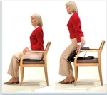Carex Upeasy Seat Assist Plus Portable Self-powered Lifting Cushion. Fixed Price $69.99.