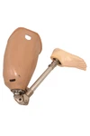 Prosthetic Ossur Bulldog Left Leg&foot Build Size 10. Fixed Price $1000.00.