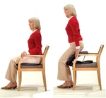 Carex Upeasy Seat Assist Plus. Fixed Price $39.99.