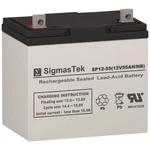 Sigmastek SP12-55NB Vrla Sealed Lead Acid Agm Battery For Merits MP3R Wheelchair. Fixed Price $117.99.