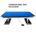 Hausmann Dual Lift Bariatric Electric Lo Platform 1440-47- No Mat/cushion. Fixed Price $1374.99.