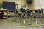 200 Precut Pre-cut Tennis Balls For Chairs (recycled) Top Quality And Condition!. Fixed Price $159.00.