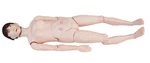 Advanced Patient Care Teaching Human Manikin Female Mode Medical Anatomy. Fixed Price $462.80.