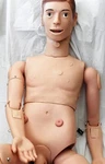 Lifesize Human Manikin Model Nursing Medical School Patient Care Teaching Male. Fixed Price $294.47.
