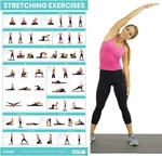 Vive Workout Posters For Home Gym - 52 Streching Exercises Full Body. Fixed Price $14.12.
