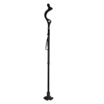 Fresh Fab Finds FFF-BLACK-GPCT4766 Posture Walking Cane For Women Old Peo.... Fixed Price $52.43.